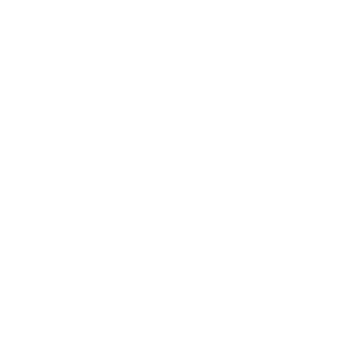 Sneaxo™